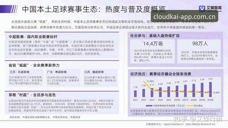 2026世界杯观赛困局深度分析：签证壁垒与地缘政治如何影响球迷体验